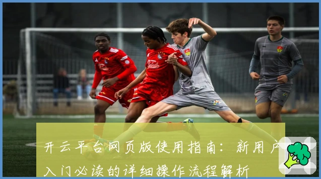 开云平台网页版使用指南：新用户入门必读的详细操作流程解析